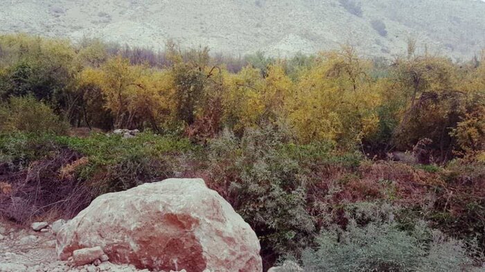 چشم نوازی پاییز در روستای باستانی دیل گچساران